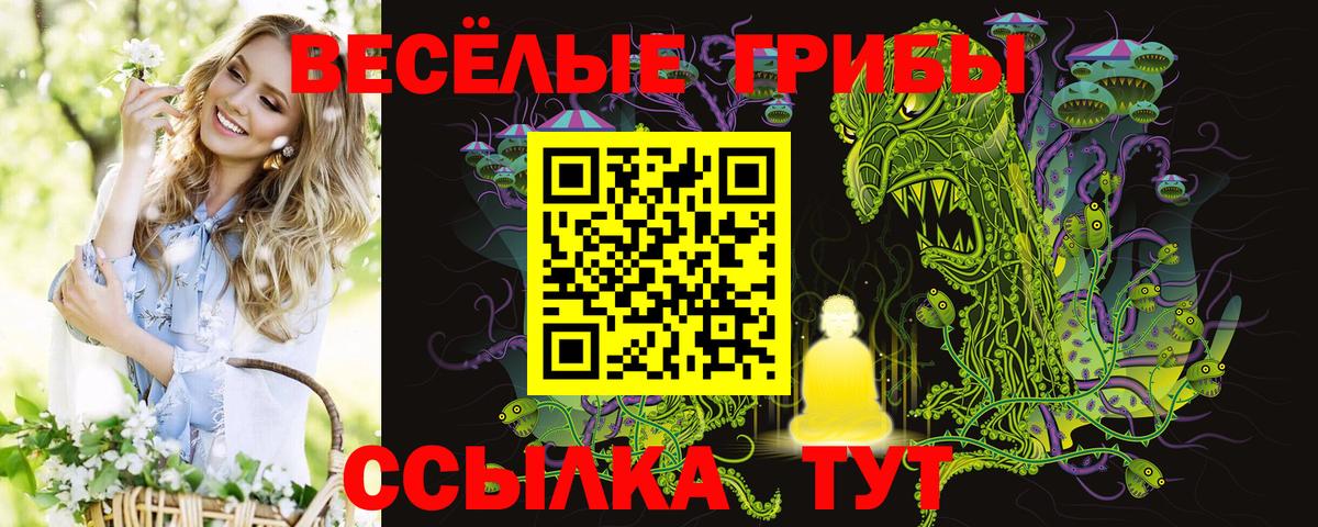 Псилоцибиновые грибы GOLDEN TEACHER Великий Новгород