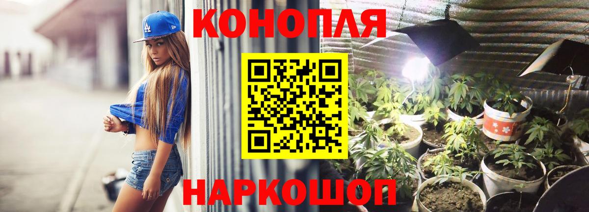 Бошки Шишки LSD WEED  Вход с VPN  Каннабис сатива  Великий Новгород  Шишки марихуана планчик 